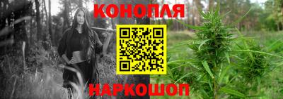 гашик Гай