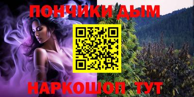 гашик Гай