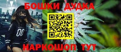 гашик Гай