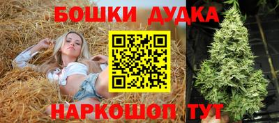 гашик Гай